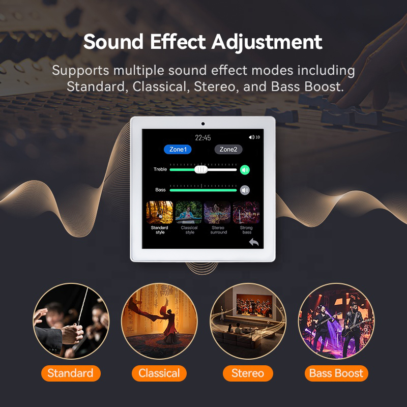 เครื่องขยายเสียงติดผนังแบบ 2 โ - Audio Music In Background บทวิจารณ์และราคา