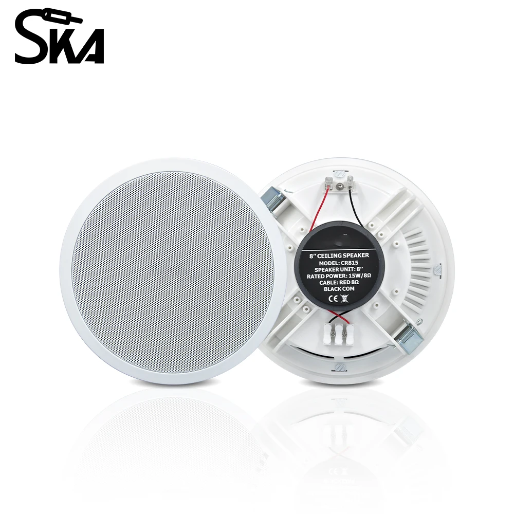 ระบบเสียงสมาร์ทโฮม PW4420T+CR8 - Audio Music In Background บทวิจารณ์และราคา