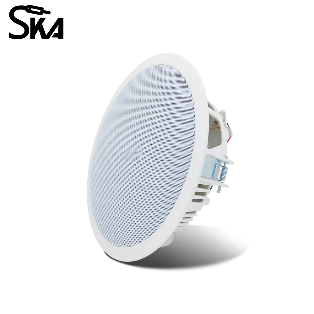 ระบบเสียงสมาร์ทโฮม PW4420T+CR8 - Audio Music In Background บทวิจารณ์และราคา