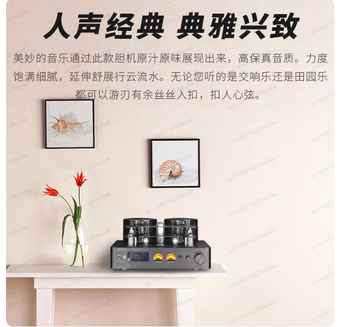 เครื่องขยายเสียงหลอดสุญญากาศไร - Audio Youtube Music Free บทวิจารณ์และราคา